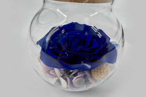 Clear glass vase containing a single vivid blue rose with pale dried foliage at the base, set against a light background.