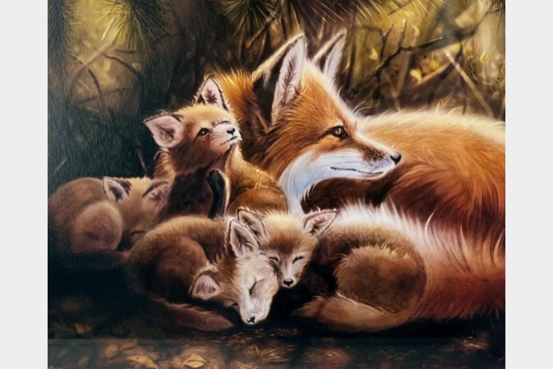 Mother red fox curled beside several fox cubs, all cuddled together in a natural setting.