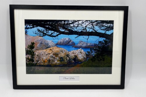 Coastal rocky cove at Point Lobos with blue water and overhanging tree branches framing the scene