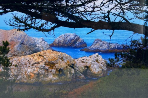 Rocky coastline with jagged light-colored rocks, calm blue sea, and dark tree branches framing the view.