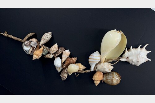 Decorative seashell necklace on braided cord laid diagonally across a dark surface