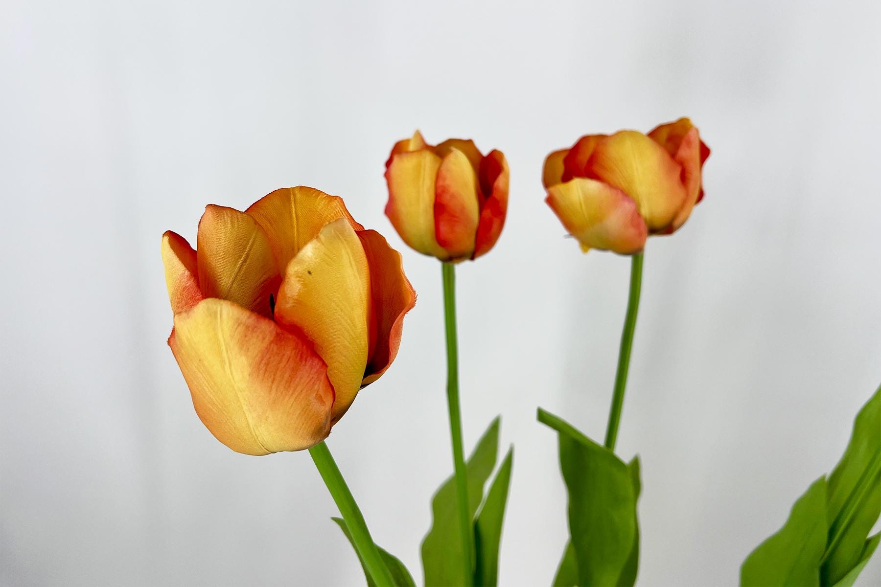Vintage Yellow Ceramic Footed Tulip - Image 3