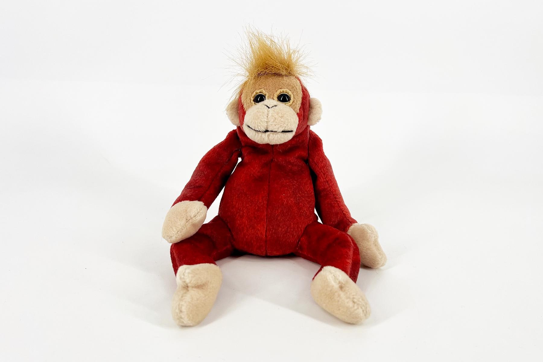 Schweetheart the Orangutan