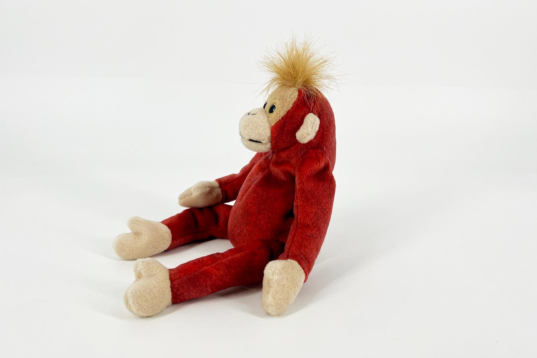Schweetheart the Orangutan - Image 2